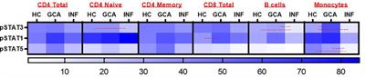 Evidence for increased interferon type I activity in CD8+ T cells in giant cell arteritis patients